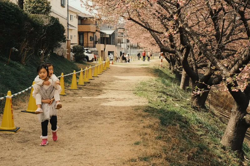 Children enjoying a spring day under cherry blossom trees in Okazaki, Japan