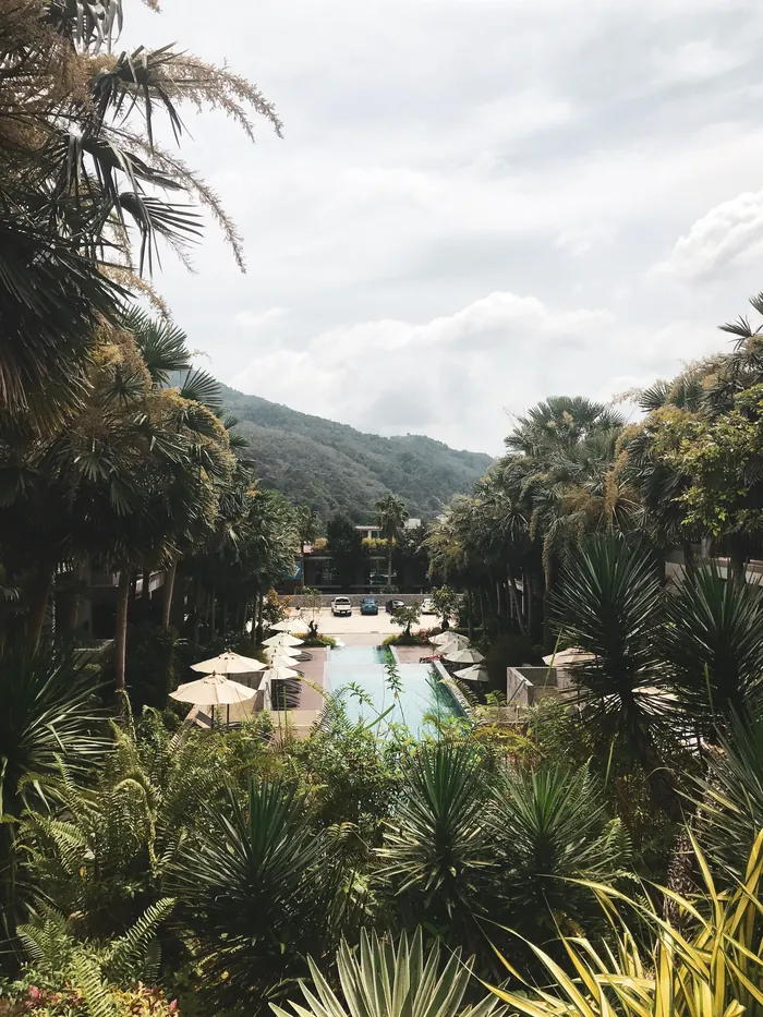 A resort swimming pool surrounded by palm trees with hills behind, in Thailand