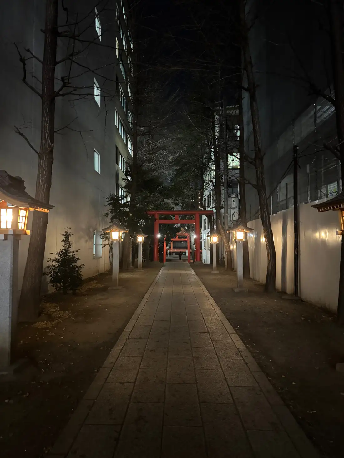 A calm last night in Tokyo