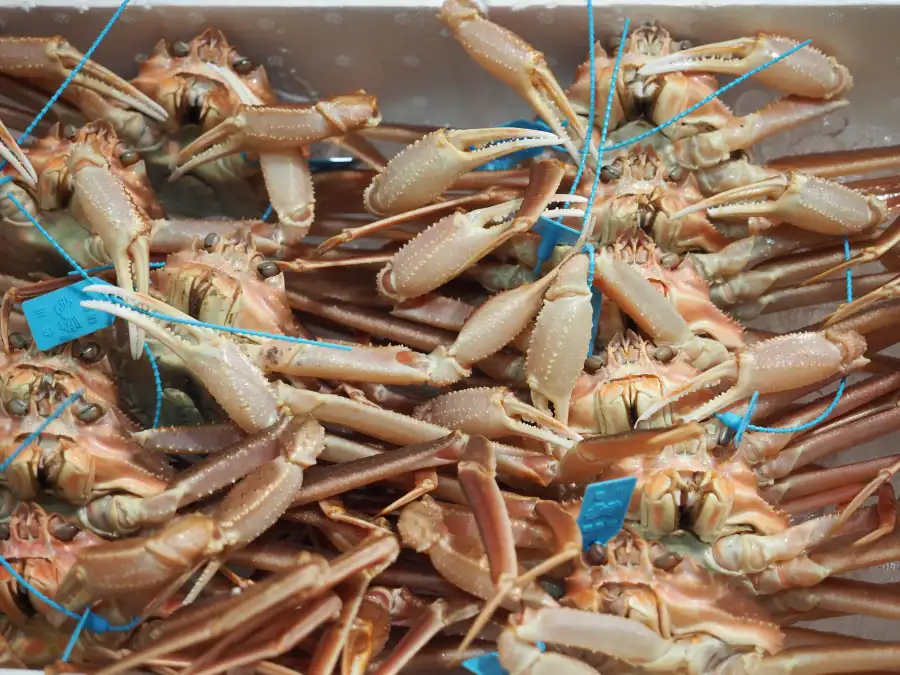Fresh from the sea!