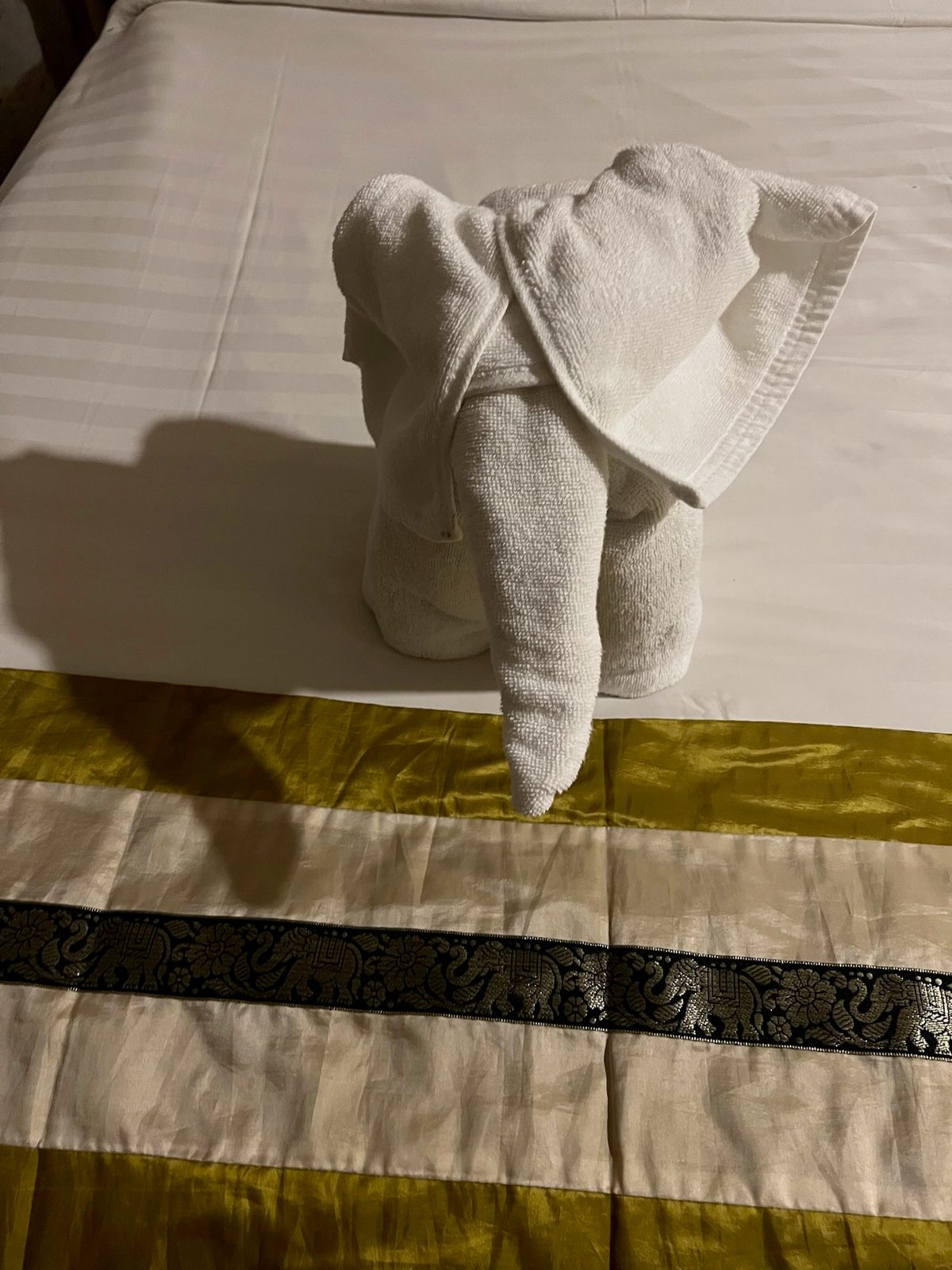 Towel elephant on arrival — someone spent real time on this