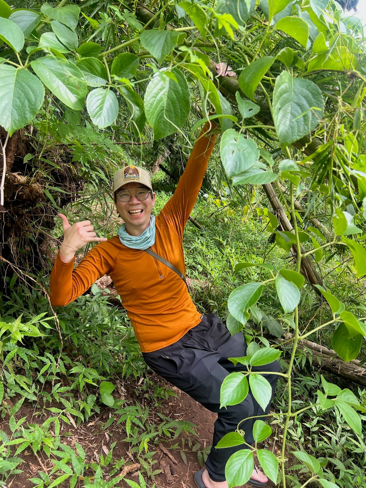 Deep in the jungle on a hike, Northern Thailand