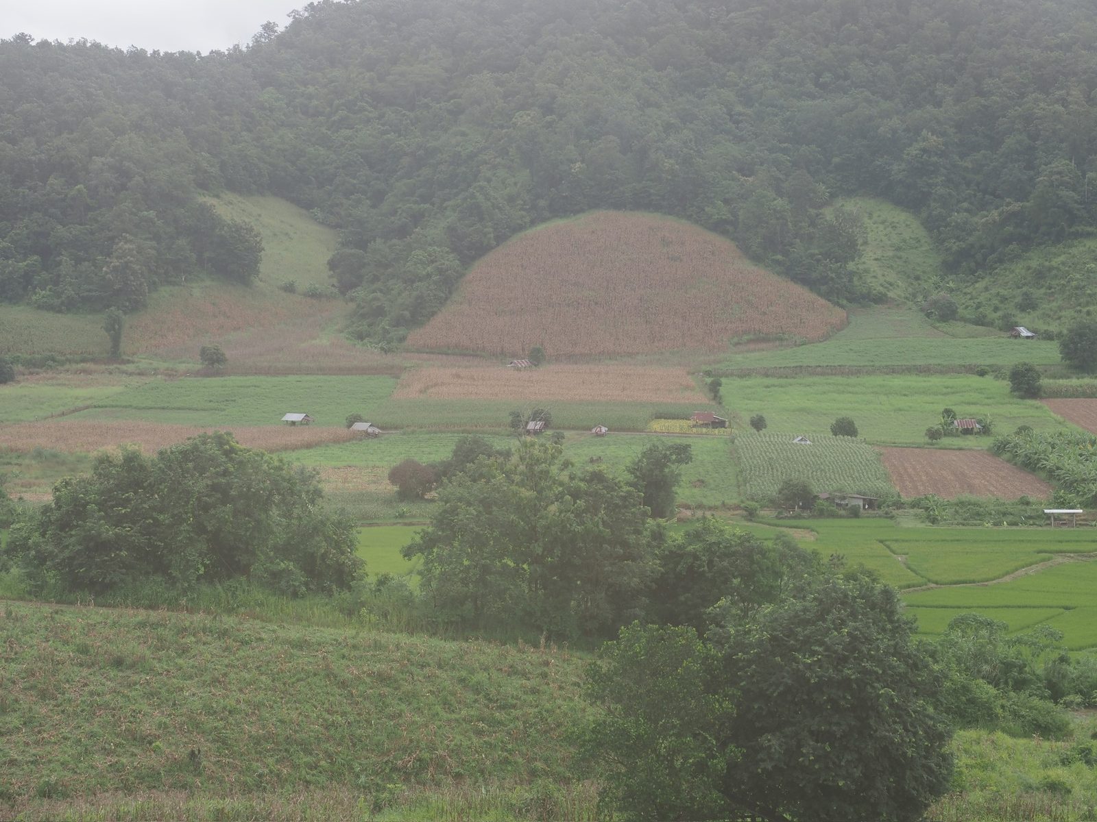 Morning mist over the valley, Mae Hong Son