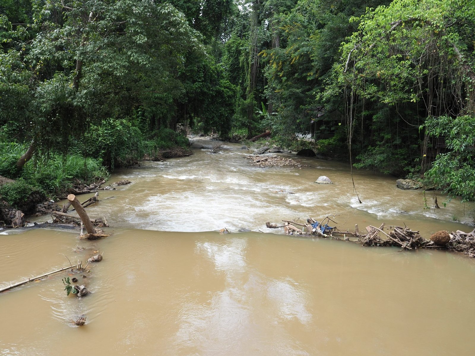 Wooden bridge over still water in Northern Thailand